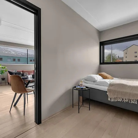 The Arctic Cityscape