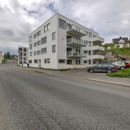 The Arctic Cityscape